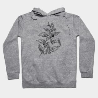 Belladonna .  Deadly nightshade black ink Hoodie